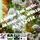 Around the music-around the world 05-05-2014 Rimini Net Radio logo