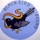 Black bird talking to the white bird logo