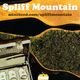 Spliff Mountain #5 logo