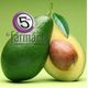 5 Minutos de Farmácia - 24Fev - Benefícios do Abacate - Sabor da Semana - Cláudia Santos (04:58') logo