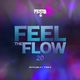 DJ FESTA - FEEL THE FLOW 20 logo