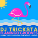 DJ Tricksta - Flamingo Grooves logo