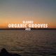 Organic Grooves #02 logo