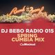 DJ BEBO x SPRING CUMBIA MIX x 015 logo