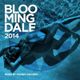 CD2 Bloomingdale 2014 (Mixed By Franky Rizardo) (2014) logo