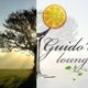 Relaxation Nature Mix [﻿﻿﻿﻿﻿﻿﻿﻿﻿﻿Guido's Lounge Cafe﻿] logo