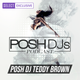 POSH DJ Teddy Brown 1.19.21 // Top 40 Remixes logo