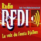 RFDI © Duɗal Madiina  20-05-2016 [Islaam] [Pulaar] logo