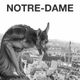Clásica para desmañanados 195 - Notre-Dame de París logo