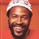 Funked Up Vol. 2: Marvin Gaye, Funkadelic, Lyn Collins, Clarence Reid, The Blackbyrds, T-Connection logo