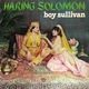 Boy Sullivan   Haring Solomon logo