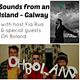 S.F.A.I-Galway 05 with Fia Rua (Special guests Oh Boland) - 08-07-14 logo