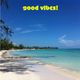 Good vibes reggae soul shrtz! logo