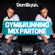 Gym & Running Mix - Follow @DJDOMBRYAN logo
