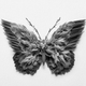 Mikal Aton: Meerespott #72 logo