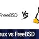 FLOSS Clip: Linux vs FreeBSD: What's the Difference? logo