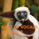 Winter Mix 91 - Best of Vocals Vol. 2 logo
