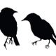 Sedentary Birds Live for Elektrosfera Radio logo