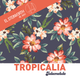 Tropicália - Steinvorth 30/Ene/2015 logo