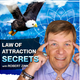 5 Ways To Save Your Relationship With The Law of Attraction logo