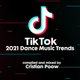 TikTok - 2021 Dance Music SONGS and TRENDS logo