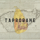 TAPROBANE TUNES Episode 024 - D-MELODIC ( Sri Lanka ) logo