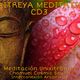 MAITREYA MEDITATION CD3. CHAMUEL. COSMIC SOUND 528Hz. MEDITACION UNIXITRONICA INTERCONEXION 441 logo