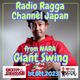#34 Giant Swing Yan-be Mix from Nara logo