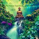 The Namsa Experience (Aura Healing Sessions To Enlightenment) - vol.2 (Talking to Nature) logo