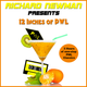 Richard Newman Presents 12 Inches Of PWL logo