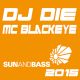 Dj Die & Mc Blackeye @ SunandBass - 2015 logo