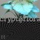 Cryptoflora logo