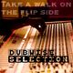 Take a walk on the flip side - Roots in dub selection logo