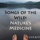 Songs of the Wild ~ Nature's Medicine (11/13/15) logo