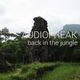 AUDIOFREAK - Back to the Jungle Mix logo