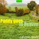 Paddy Goes to Heaven (Irish music tribute) logo