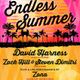 David Harness Live At Endless Summer - WCS Events 7.27.2013 logo