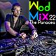 WodMix - 22 - The Panacea (drum &bass) 20 min mega mix logo