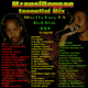 Mzansi Reggae Essential Mix 1 logo