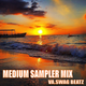 Medium Sampler Mix - VA. Swag Beatz logo