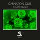 Torcuato Bassano - Carnation Club (Lounge Mix) MMRMX117 logo