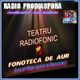 Va ofer: Fonoteca de aur cu teatru radiofonic... de la RadioProdiaspora logo