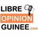 Libreopinionguinee.com, Ousmane Kaba à Kankan il dénonce Alpha condé et son Discours logo