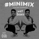#Minimix No. 39 - Wet Baes: Buscabulla, Breakbot, Secret Attraction, Phoenix, Snoop Dog. logo