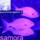 SAMORA ----> PSYCHONAVIGATION ambient 5 is a MIX for Bohemian club logo