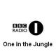 DJ Zinc, DJ Hype and DJ Ron - One In The Jungle - 15.11.1996 logo