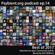 Psybient.org podcast - episode 14 - Best of 2017 mixed by Ant Nebula logo