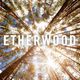 Etherwood (Med School Music) @ The Daily Dose Mix  - MistaJam Radio Show, BBC 1Xtra (05.11.2013) logo
