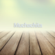 Muchachita (Jordi Casas Guitar Instrumental Mix) logo