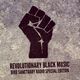 Bird Peterson presents: Bird Sanctuary Radio SPECIAL EDITION: REVOLUTIONARY BLACK MUSIC (6/3/20) logo